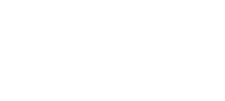 Vital Fusion